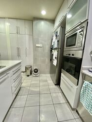 Cairnhill Crest (D9), Condominium #535243641